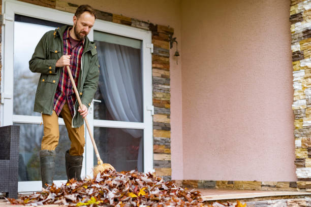 Best Basement Cleanout Services  in Cheraw, SC